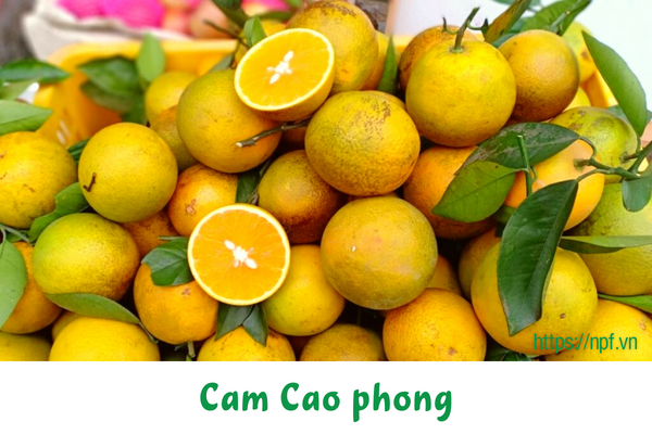 Cam Cao phong Cam Cao phong