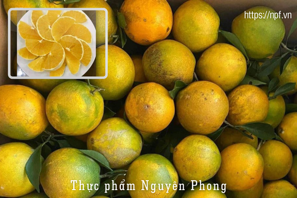 Cam lòng vàng Cam lòng vàng