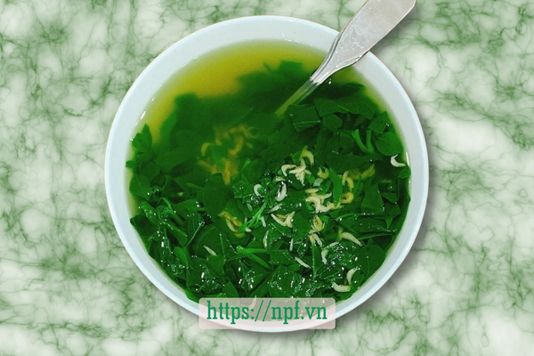Canh mồng tơi nấu moi Canh mồng tơi nấu moi