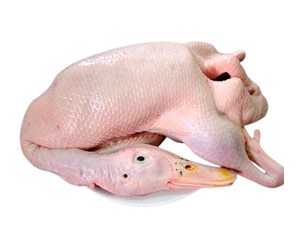 vịt thịt vịt thịt
