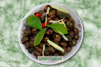 Ốc mít hấp sả chanh 3