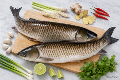 Cá trắm (Size 3-4 kg/con)