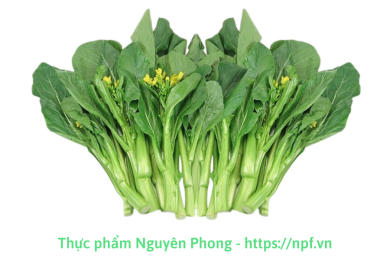 Cải ngồng