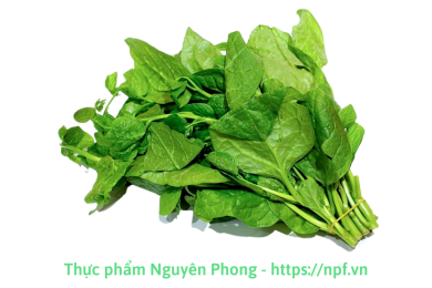 Mồng tơi