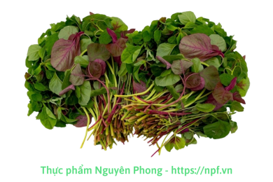 Rau dền