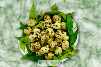 Trứng cút lộn1